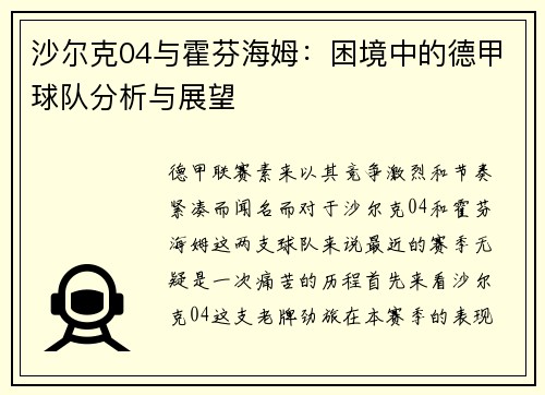 沙尔克04与霍芬海姆：困境中的德甲球队分析与展望