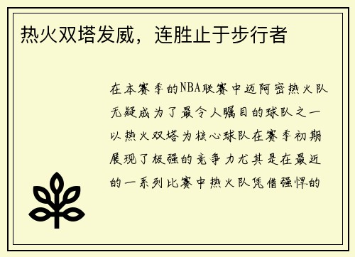 热火双塔发威，连胜止于步行者