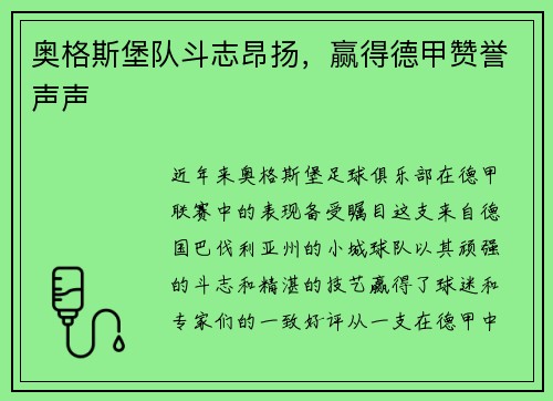 奥格斯堡队斗志昂扬，赢得德甲赞誉声声